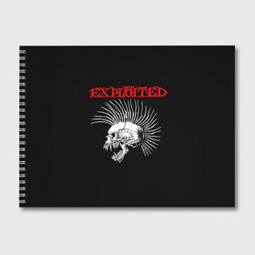 Альбом для рисования с принтом The Exploited в Новосибирске, 100% бумага
 | матовая бумага, плотность 200 мг. | exploited | punks | punks not dead | the exploited | панк не сдох | панки | уоти | череп | эксплоитед