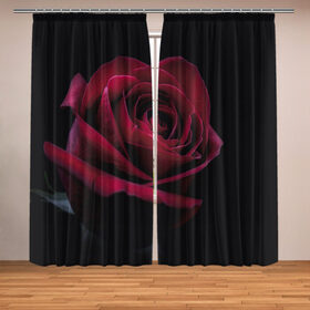 Фотошторы с принтом роза в Новосибирске, Блэкаут (светозащита 90%) / Габардин (светозащита 40% | 2 полотна шириной по 145 см; Высота 200-300 см; Крепление: шторная лента (на крючки); | гибридная роза | красная роза | роза | чайная роза | черная роза