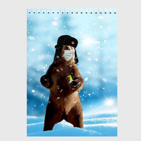 Скетчбук с принтом Зимний мишка в реалиях 2020 г. в Новосибирске, 100% бумага
 | 48 листов, плотность листов — 100 г/м2, плотность картонной обложки — 250 г/м2. Листы скреплены сверху удобной пружинной спиралью | зима | маска | медведь | новый год