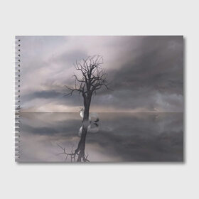 Альбом для рисования с принтом Черное древо и белый лис в Новосибирске, 100% бумага
 | матовая бумага, плотность 200 мг. | balck | fox | reflection | sky | storm | thunder | tree | white | белый | дерево | древо | лис | небо | отражение | шторм