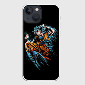 Чехол для iPhone 13 mini с принтом Fighter в Новосибирске,  |  | anime | art | character | drawing | fighter | street fighter | аниме | арт | боец | каратист | персонаж | рисунок | уличный боец