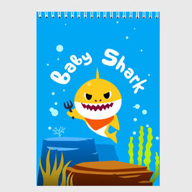 Скетчбук с принтом Baby Shark в Новосибирске, 100% бумага
 | 48 листов, плотность листов — 100 г/м2, плотность картонной обложки — 250 г/м2. Листы скреплены сверху удобной пружинной спиралью | babyshark | babysharkchallenge | babysharkdance | акулёнок | детскаяпесенка | семьяакул