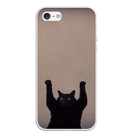 Чехол для iPhone 5/5S матовый с принтом Кот сдается в Новосибирске, Силикон | Область печати: задняя сторона чехла, без боковых панелей | cat | арест | испуг | кот | руки вверх | черный кот