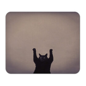 Коврик для мышки прямоугольный с принтом Кот сдается в Новосибирске, натуральный каучук | размер 230 х 185 мм; запечатка лицевой стороны | cat | арест | испуг | кот | руки вверх | черный кот