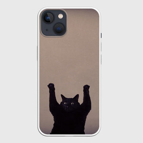Чехол для iPhone 13 с принтом Кот сдается в Новосибирске,  |  | cat | арест | испуг | кот | руки вверх | черный кот