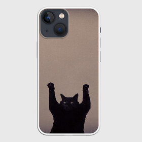 Чехол для iPhone 13 mini с принтом Кот сдается в Новосибирске,  |  | cat | арест | испуг | кот | руки вверх | черный кот