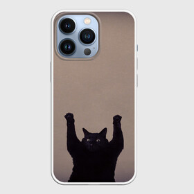Чехол для iPhone 13 Pro с принтом Кот сдается в Новосибирске,  |  | cat | арест | испуг | кот | руки вверх | черный кот