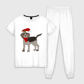 Женская пижама хлопок с принтом Новогодний Бигль в Новосибирске, 100% хлопок | брюки и футболка прямого кроя, без карманов, на брюках мягкая резинка на поясе и по низу штанин | Тематика изображения на принте: 2021 | бигль | зима | зимняя собака | милый | нарядная собака | новогодний щенок | новый год | подарок | собака | собака в шапке | шарф | щенок | щенок с шарфом