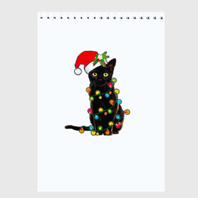 Скетчбук с принтом Новогодний кот в Новосибирске, 100% бумага
 | 48 листов, плотность листов — 100 г/м2, плотность картонной обложки — 250 г/м2. Листы скреплены сверху удобной пружинной спиралью | 2021 | белка | гирлянда | год быка | дед мороз | елка | енот | кот | котик | лиса | маска | неон | новогодний кот | новогодняя | новый год | олень | праздник | радуга | рождество | с новым годом | санта