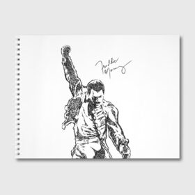 Альбом для рисования с принтом Freddie Mercury в Новосибирске, 100% бумага
 | матовая бумага, плотность 200 мг. | freddie mercury | queen | автограф | квин | фредди меркьюри