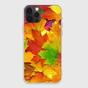 Чехол для iPhone 12 Pro Max с принтом Осенние листья в Новосибирске, Силикон |  | Тематика изображения на принте: клён | краски | листья | осень | радуга | разноцветный | яркая