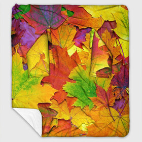 Плед с рукавами с принтом Осенние листья в Новосибирске, 100% полиэстер | Закругленные углы, все края обработаны. Ткань не мнется и не растягивается. Размер 170*145 | клён | краски | листья | осень | радуга | разноцветный | яркая