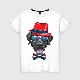 Женская футболка хлопок с принтом Мажор  в Новосибирске, 100% хлопок | прямой крой, круглый вырез горловины, длина до линии бедер, слегка спущенное плечо | арт | графика | животные | лабрадор | собаки