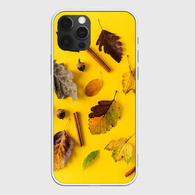 Чехол для iPhone 12 Pro Max с принтом Гербарий в Новосибирске, Силикон |  | гербарий | жёлтый | листья | осень