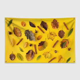Флаг-баннер с принтом Гербарий в Новосибирске, 100% полиэстер | размер 67 х 109 см, плотность ткани — 95 г/м2; по краям флага есть четыре люверса для крепления | гербарий | жёлтый | листья | осень