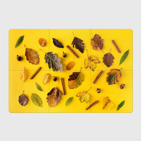 Магнитный плакат 3Х2 с принтом Гербарий в Новосибирске, Полимерный материал с магнитным слоем | 6 деталей размером 9*9 см | гербарий | жёлтый | листья | осень
