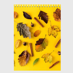 Скетчбук с принтом Гербарий в Новосибирске, 100% бумага
 | 48 листов, плотность листов — 100 г/м2, плотность картонной обложки — 250 г/м2. Листы скреплены сверху удобной пружинной спиралью | гербарий | жёлтый | листья | осень