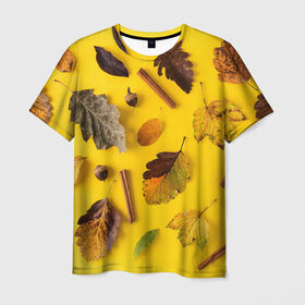 Мужская футболка 3D с принтом Гербарий в Новосибирске, 100% полиэфир | прямой крой, круглый вырез горловины, длина до линии бедер | Тематика изображения на принте: гербарий | жёлтый | листья | осень