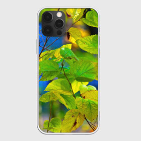 Чехол для iPhone 12 Pro Max с принтом Листва в Новосибирске, Силикон |  | береза | деревья | листья | осень | природа