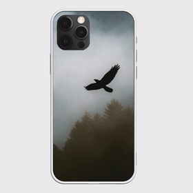 Чехол для iPhone 12 Pro Max с принтом Орёл над лесом в Новосибирске, Силикон |  | bird | dark | fog | forest | heaven | jh k | ktc | sky | texture | деревья | животные | лес | небо | орел | природа | птица | птицы | текстуры | тёмный лес | туман