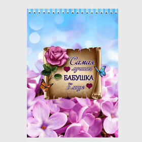 Скетчбук с принтом Лучшая Бабушка в Новосибирске, 100% бумага
 | 48 листов, плотность листов — 100 г/м2, плотность картонной обложки — 250 г/м2. Листы скреплены сверху удобной пружинной спиралью | Тематика изображения на принте: love | бабочки | бабуля | бабушка | букет | день рождения | женщинам | лепестки | листья | лучшая в мире | любимая бабушка | любовь | марта | нежные цветы | подарок | природа | растения | роза | семья