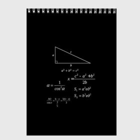 Скетчбук с принтом Теорема Пифагора в Новосибирске, 100% бумага
 | 48 листов, плотность листов — 100 г/м2, плотность картонной обложки — 250 г/м2. Листы скреплены сверху удобной пружинной спиралью | Тематика изображения на принте: алгебра | геометрия | гипотенуза | катет | математик | пифагор | теорема пифагора | треугольник | философ | формулы | школа | шпаргалка