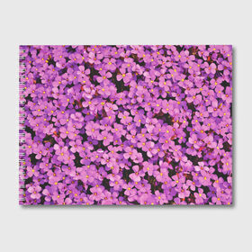 Альбом для рисования с принтом Цветочки в Новосибирске, 100% бумага
 | матовая бумага, плотность 200 мг. | flower | flowers | лютики | цветочки | цветы