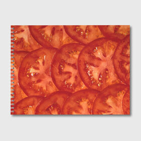 Альбом для рисования с принтом Помидорки в Новосибирске, 100% бумага
 | матовая бумага, плотность 200 мг. | арт | еда | лето | овощ | овощи | помидор | помидорки | помидоры | рисунок | томат | томаты