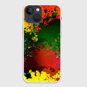 Чехол для iPhone 13 mini с принтом Взрыв красок в Новосибирске,  |  | paint | буйство красок | взрыв красок | кляксы | краски