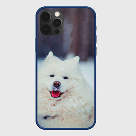 Чехол для iPhone 12 Pro Max с принтом САМОЕД в Новосибирске, Силикон |  | Тематика изображения на принте: animals | dog | winter | домашние | друг | животные | звери | зима | лайка | пес | песель | природа | пушистый | самоед | собаки | собачка | хаски