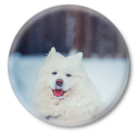 Значок с принтом САМОЕД в Новосибирске,  металл | круглая форма, металлическая застежка в виде булавки | animals | dog | winter | домашние | друг | животные | звери | зима | лайка | пес | песель | природа | пушистый | самоед | собаки | собачка | хаски