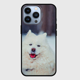 Чехол для iPhone 13 Pro с принтом САМОЕД в Новосибирске,  |  | Тематика изображения на принте: animals | dog | winter | домашние | друг | животные | звери | зима | лайка | пес | песель | природа | пушистый | самоед | собаки | собачка | хаски