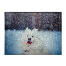 Обложка для студенческого билета с принтом САМОЕД в Новосибирске, натуральная кожа | Размер: 11*8 см; Печать на всей внешней стороне | Тематика изображения на принте: animals | dog | winter | домашние | друг | животные | звери | зима | лайка | пес | песель | природа | пушистый | самоед | собаки | собачка | хаски