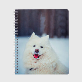 Тетрадь с принтом САМОЕД в Новосибирске, 100% бумага | 48 листов, плотность листов — 60 г/м2, плотность картонной обложки — 250 г/м2. Листы скреплены сбоку удобной пружинной спиралью. Уголки страниц и обложки скругленные. Цвет линий — светло-серый
 | animals | dog | winter | домашние | друг | животные | звери | зима | лайка | пес | песель | природа | пушистый | самоед | собаки | собачка | хаски