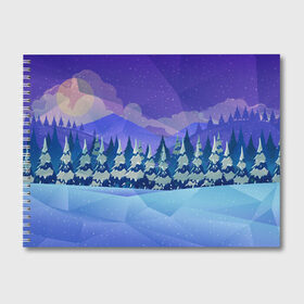 Альбом для рисования с принтом Зимний лес в Новосибирске, 100% бумага
 | матовая бумага, плотность 200 мг. | Тематика изображения на принте: 