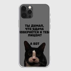 Чехол для iPhone 12 Pro Max с принтом Кот к удаче в Новосибирске, Силикон |  | cat | luck | кот | мотивация | неприличное | удача | успех