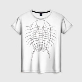 Женская футболка 3D с принтом трилобит агрессивный в Новосибирске, 100% полиэфир ( синтетическое хлопкоподобное полотно) | прямой крой, круглый вырез горловины, длина до линии бедер | агрессия | доисторические животные | жуткие животные | насекомые | палеонтология | трилобиты
