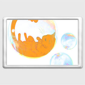 Магнит 45*70 с принтом Котик в пузыре, рыжий в Новосибирске, Пластик | Размер: 78*52 мм; Размер печати: 70*45 | звери | котики | коты | кошки | милый | подарок | пузырь | рыжий