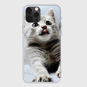Чехол для iPhone 12 Pro Max с принтом серый котенок в Новосибирске, Силикон |  | Тематика изображения на принте: grey kitten | kitten | котенок | милый котенок | серый котенок