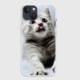 Чехол для iPhone 13 с принтом серый котенок в Новосибирске,  |  | grey kitten | kitten | котенок | милый котенок | серый котенок
