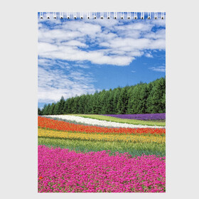 Скетчбук с принтом Цветочное поле в Новосибирске, 100% бумага
 | 48 листов, плотность листов — 100 г/м2, плотность картонной обложки — 250 г/м2. Листы скреплены сверху удобной пружинной спиралью | Тематика изображения на принте: деревья | лес | леса | луг | луга | небеса | небо | облака | облако | поле | поля | природа | растения | туча | тучи | цветок | цветы