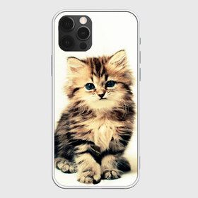 Чехол для iPhone 12 Pro Max с принтом котёнок в Новосибирске, Силикон |  | cute kitten | kitten | котёнок | красивый котёнок | милый котёнок