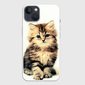 Чехол для iPhone 13 с принтом котёнок в Новосибирске,  |  | cute kitten | kitten | котёнок | красивый котёнок | милый котёнок