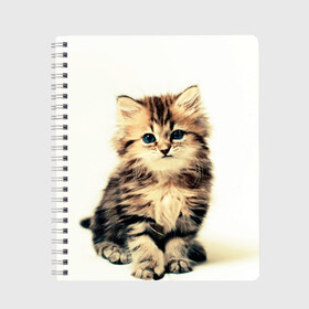 Тетрадь с принтом котёнок в Новосибирске, 100% бумага | 48 листов, плотность листов — 60 г/м2, плотность картонной обложки — 250 г/м2. Листы скреплены сбоку удобной пружинной спиралью. Уголки страниц и обложки скругленные. Цвет линий — светло-серый
 | cute kitten | kitten | котёнок | красивый котёнок | милый котёнок