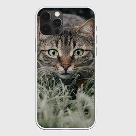 Чехол для iPhone 12 Pro Max с принтом Кошка в Новосибирске, Силикон |  | Тематика изображения на принте: животное | животные | звери | зверь | киса | киска | киски | кот | котики | коты | кошка | питомец | питомцы | природа | хищник | хищники