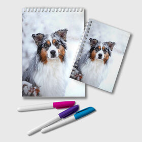 Блокнот с принтом Австралийская овчарка в Новосибирске, 100% бумага | 48 листов, плотность листов — 60 г/м2, плотность картонной обложки — 250 г/м2. Листы скреплены удобной пружинной спиралью. Цвет линий — светло-серый
 | Тематика изображения на принте: dog | австралийская | животные | овчарка | пес | природа | собака | собаки | собакчка | собачки