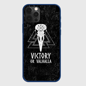 Чехол для iPhone 12 Pro с принтом Victory or Valhalla в Новосибирске, силикон | область печати: задняя сторона чехла, без боковых панелей | Тематика изображения на принте: вальхалла | викинг | ворон | символ | скандинавия | череп | язычество