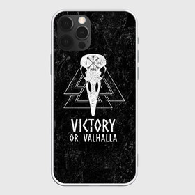 Чехол для iPhone 12 Pro Max с принтом Victory or Valhalla в Новосибирске, Силикон |  | вальхалла | викинг | ворон | символ | скандинавия | череп | язычество
