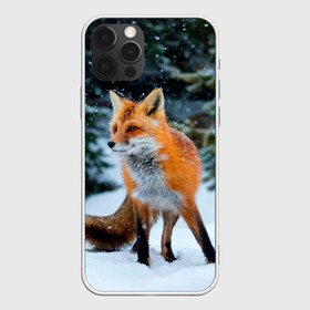 Чехол для iPhone 12 Pro Max с принтом Лиса в зимнем лесу в Новосибирске, Силикон |  | Тематика изображения на принте: fox | foxy | в | животные | звери | зима | зимний | зимняя | лес | лиса | лисичка | лисы | природа | снег | снежная