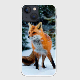 Чехол для iPhone 13 mini с принтом Лиса в зимнем лесу в Новосибирске,  |  | Тематика изображения на принте: fox | foxy | в | животные | звери | зима | зимний | зимняя | лес | лиса | лисичка | лисы | природа | снег | снежная